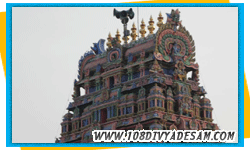 chozha nadu divya desam temple tours from madurai